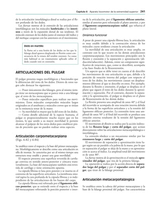 de la articulación interfalángica distal se realiza por el fle-
xor profundo de los dedos.
Las fuerzas motoras de la extensión de las articulaciones
interfalángicas son los músculos lumbricales y los interó-
seos a través de la expansión dorsal de sus tendones. El
músculo extensor de los dedos junto al extensor del índice y
del meñique cooperan con los anteriores en el movimiento.
Dedo en martillo
Se llama así a una lesión de los dedos en los que la
falange distal aparece desplazada en flexión como con-
secuencia de la rotura del tendón extensor. La causa
más habitual es un traumatismo aplicado sobre el
dedo cuando está en extensión.
ARTICULACIONES DEL PULGAR
El pulgar presenta rasgos morfológicos y funcionales que
le diferencian del resto de los dedos. Dentro de estos ras-
gos cabe destacar los siguientes:
— Posee únicamente dos falanges, pero al mismo tiem-
po tiene un metacarpiano que se parece más a una falange
que al resto de los metacarpianos.
— Posee músculos específicos para realizar sus movi-
mientos. Estos músculos comprenden músculos largos
originados en el antebrazo y músculos cortos que se sitúan
en la eminencia tenar de la mano.
— Su movilidad es mayor que la del resto de los dedos.
— Como detalle adicional de la especie humana, el
pulgar es proporcionalmente mucho mayor que en los
monos, lo que unido a su mayor movilidad le permite
alcanzar el pulpejo de los otros dedos para establecer pin-
zas de precisión que no pueden realizar otras especies.
Articulación carpometacarpiana
(Figs. 6-82 y 6-84)
Se establece entre el trapecio y la base del primer metacarpia-
no. Morfológicamente se describe como una articulación en
silla de montar. Se caracteriza por ser al mismo tiempo una
estructura muy estable y poseer una gran movilidad.
El trapecio presenta una superficie revestida de cartíla-
go convexa en sentido antero-posterior y cóncava trans-
versalmente. La base del metacarpiano también está reves-
tida de cartílago y tiene orientación opuesta.
La cápsula fibrosa es laxa pero potente y se inserta en el
contorno de las superficies articulares. La membrana sino-
vial tapiza la cara profunda de la cápsula fibrosa y es inde-
pendiente de las articulaciones de los huesos del carpo.
La cápsula fibrosa está reforzada por el ligamento obli-
cuo posterior, que se extiende entre el trapecio y la base
del metacarpiano reforzando la porción posterior e inter-
na de la articulación, por el ligamento oblicuo anterior,
similar al anterior pero reforzando el plano anterior, y por
el ligamento carpometacarpiano radial, que refuerza el
plano lateral.
Dinámica funcional
A pesar de poseer una cápsula fibrosa laxa, la articulación
es muy estable debido a la contracción tónica de los
músculos cuyos tendones cruzan la articulación
La movilidad de esta articulación es muy amplia, en
contraste con lo que ocurre en las demás articulaciones
carpometacarpianas. Los movimientos principales son la
flexión y extensión y la separación y aproximación (ab-
ducción/aducción). Además, existe un componente signi-
ficativo de rotaciones, que, como se describirá, acompaña
a las fases finales de la flexoextensión.
Un aspecto que se debe tener en cuenta al de describir
los movimientos de esta articulación es que, debido a la
posición de rotación interna del pulgar con respecto al
resto de los dedos, los movimientos causan un desplaza-
miento diferente al que se describe en estos. Por ejemplo,
durante la flexión y extensión, el pulgar se desplaza en el
plano que siguen el resto de los dedos durante la aproxi-
mación y separación. Por el contrario, durante la separa-
ción y la aproximación, el pulgar se desplaza en el plano
de flexoextensión de los demás dedos.
La flexión presenta una amplitud de unos 40° y el final
del recorrido se acompaña de una rotación interna debida
a la forma de las superficies articulares y a la tensión del
ligamento oblicuo posterior. La extensión tiene una am-
plitud de unos 50° y al final del recorrido se produce una
rotación externa resultante de la tensión del ligamento
oblicuo anterior.
El movimiento de flexión se realiza por la acción indirec-
ta de los flexores largo y corto del pulgar, que actúan
directamente sobre las articulaciones metacarpofalángica e
interfalángica.
La extensión obedece a un mecanismo similar por los
extensores largo y corto del pulgar.
El movimiento de separación y aproximación tiene lu-
gar según un eje paralelo a la palma de la mano, por lo que
en separación el pulgar se aleja de la mano y en aproxima-
ción se acerca al índice. La amplitud total del movimiento
es de unos 80°.
La fuerza motora de la aproximación es el músculo apro-
ximador del pulgar, que tira de la primera falange.
La separación se realiza por la acción directa de separa-
dor largo del pulgar y por el separador corto del pul-
gar, que tiran de la falange proximal.
Articulación metacarpofalángica
Se establece entre la cabeza del primer metacarpiano y la
base de la falange proximal del pulgar. Sus características
#APÓTULO  Aparato locomotor de la extremidad superior 
 