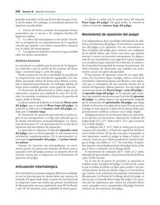 generales coinciden con las que hemos descrito para el res-
to de los dedos. Sin embargo, la articulación presenta las
siguientes peculiaridades:
1. Existen de forma constante dos pequeños huesos
sesamoideos que se asocian a los márgenes laterales del
ligamento palmar.
2. La cabeza del metacarpiano es más ancha. Este he-
cho se acompaña de un ensanchamiento de la superficie
articular que permite a los huesos sesamoideos contactar
con la cabeza del metacarpiano.
3. Los ligamentos laterales se insertan en gran medida
sobre los huesos sesamoideos.
Dinámica funcional
La articulación se estabiliza por la tensión de los ligamen-
tos colaterales y por la tensión de los tendones del flexor
largo y extensores largo y corto del pulgar.
Desde el punto de vista de su movilidad, la articulación
se comporta como una articulación equiparable a las con-
díleas, que puede realizar de forma activa flexión y exten-
sión y separación-aproximación. Sin embargo, además, de
forma pasiva también permite cierto grado de rotación.
El movimiento de flexoextensión se realiza según un eje
transversal y presenta una amplitud de unos 45º de fle-
xión. La extensión es solamente el retorno a la posición de
reposo desde la flexión.
La fuerza motora de la flexión es el músculo flexor corto
del pulgar, que se ayuda del flexor largo del pulgar. La
extensión se realiza por el extensor corto del pulgar ayu-
dado por el extensor largo.
El movimiento de separación-aproximación se realiza se-
gún un eje anteroposterior y es algo más reducido que en
las demás articulaciones metacarpofalángicas. La separa-
ción alcanza unos 15° y la aproximación no es más que la
reposición del movimiento de separación.
La separación se realiza por el músculo separador corto
del pulgar, pero su efecto separador es más intenso en la
articulación carpometacarpiana. En la aproximación in-
tervienen el aproximador del pulgar y el primer interó-
seo palmar.
Aunque las rotaciones son principalmente un movi-
miento pasivo, la contracción conjunta del flexor corto y
separador corto del pulgar produce un pequeño efecto de
rotación interna que es importante en el movimiento de
oposición del pulgar.
Articulación interfalángica
Esta articulación no presenta ninguna diferencia morfológi-
ca con las descritas para los demás dedos que merezca ser
resaltada. De igual modo desde el punto de vista funcional
se comportan como una tróclea que permite movimientos
de flexoextensión con una amplitud de unos 90° de flexión
y solo 10° de extensión activa, ampliables de forma pasiva.
La flexión se realiza por la acción única del músculo
flexor largo del pulgar. De igual modo, la extensión la
realiza el músculo extensor largo del pulgar.
Movimiento de oposición del pulgar
Con independencia de la movilidad individual de las dife-
rentes articulaciones del pulgar, el movimiento caracterís-
tico del pulgar es la oposición. En este movimiento, se
lleva el pulpejo del pulgar para contactar con cualquiera
de los demás dedos, para forma una pinza que permite
sostener y mover con precisión instrumentos. La adquisi-
ción de este movimiento es un rasgo de la especie humana
y se considera el paso esencial en la evolución, al conferir a
los homínidos la propiedad de manejar herramientas. En
clínica humana, las alteraciones que impiden este movi-
miento causan una grave discapacidad.
El movimiento de oposición consta de tres etapas dife-
rentes. En la primera etapa, el pulgar realiza a nivel de la
articulación carpometacarpiana una flexión y una separa-
ción que se acompañan de una rotación interna por la
tensión del ligamento oblicuo posterior. En esta etapa del
movimiento actúan los flexores largo y corto del pulgar y
el separador largo del pulgar. En la segunda etapa se pro-
duce una rotación interna activa por la acción del oponente
del pulgar. La última etapa es una aproximación realizada
por la contracción del aproximador del pulgar, que dirige
el dedo en dirección a la palma de la mano De esta manera,
el pulgar se sitúa opuesto al plano de los demás dedos para
posteriormente establecer contacto con el dedo elegido.
Subsiguientemente al movimiento básico de oposición,
se ha descrito un movimiento adicional de traslación del
pulgar desde el 2.o
al 5.o
dedo o del 5.o
al 2.o
para contactar
con el dedo elegido.
La traslación del 2.o
al 5.o
dedo se realiza por la acción
conjunta del separador y el fascículo superficial del flexor
corto (brida externa). De los dos músculos, el separador es
más importante cuando el pulgar se dirige al índice o al
corazón, mientras que el flexor predomina cuando el pul-
gar se dirige a los dedos 4.o
o 5.o
. Por otro lado, el separa-
dor imprime cierto desplazamiento del pulgar hacia arriba
que le lleva a contactar con la falange distal.
El movimiento de traslación del 5.o
dedo al 2.o
dedo,
depende del aproximador y la porción profunda del flexor
corto (brida interna).
En el caso de las pinzas de precisión, la oposición se
establece entre el pulpejo del pulgar y el del incide, como
la que se realiza al utilizar un lápiz para escribir o un pin-
cel para pintar. Existe una última etapa en el movimiento
que consiste en la realización de pequeños movimientos de
flexoextensión. La flexión de la falange distal del pulgar se
efectúa por el músculo flexor largo del pulgar y la exten-
sión por las expansiones que emiten los músculos flexor
corto, separador corto y aproximador del pulgar hacia los
tendones de los extensores del pulgar.
 3ECCIØN ))) Aparato locomotor
 