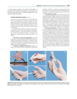 IGURA   Diferentes tipos de movimientos prensiles de la mano. A) Prensión en gancho. B) Prensión de precisión entre
pulgar y un dedo. C) Prensión de precisón entre pulgar y varios dedos. D) Prensión de potencia. E) Prensión interdigital
latero-lateral o en «tijeras».
El movimiento opuesto a la oposición del pulgar, el
movimiento de reposición del pulgar, se realiza por la ac-
ción de los extensores corto y largo del pulgar junto con el
separador largo del pulgar.
Función prensil de la mano (Fig. 6-96)
La mano es el extremo funcional de la extremidad supe-
rior. Los movimientos de la mano en conjunto son extre-
madamente complejos, pero pueden clasificarse en movi-
mientos prensiles, en los que agarra un objeto bien entre
los dedos o entre los dedos y la palma de la mano, y movi-
mientos no prensiles, tales como empujar o elevar objetos
sin agarrarlos.
Los movimientos prensiles comprenden movimien-
tos específicos de la mano humana que no pueden rea-
lizar otros primates, y que han permitido a los homíni-
dos manejar herramientas durante la evolución. Se
agrupan en cuatro diferentes formas de pinza o asi-
miento:
— Prensión por oposición digitopalmar (prensión
en gancho). Es una forma muy básica de sujeción que no
requiere la participación del pulgar. Un ejemplo es la que
se utiliza para transportar un maletín por su asa. Se efec-
túa por la acción de los músculos flexores de los dedos y la
pueden hacer todos los primates
— Prensión interdigital laterolateral (prensión en
tijeras). Es la forma en la que los fumadores sostienen los
cigarrillos. El objeto se sujeta por la formación de una
pinza entre las caras laterales de los dedos, habitualmente
del índice y el corazón. Se produce por la acción de los
músculos interóseos ventrales.
— Prensión de precisión. En esta forma de prensión
siempre participa el pulgar mediante un movimiento de
oposición. Incluye las formas de prensión exclusivas de la
especie humana. Aunque la más característica de las pinzas
de precisión es aquélla en que el objeto se sujeta entre el
pulpejo del pulgar y el pulpejo de otro dedo, como al utili-
zar un lápiz o un pincel, existen variantes en las que la
pinza se realiza entre el pulgar y varios dedos (p. ej., al
enroscar una bombilla) o entre el pulgar y la parte lateral de
un dedo (p. ej., al introducir una llave en su cerradura).
— Prensión de potencia. Se realiza entre la palma de
la mano y los dedos, incluyendo al pulgar, que desempe-
ña un papel fundamental en la sujeción. En esta forma de
prensión, el pulgar realiza el movimiento de oposición
excepto la fase final de flexoextensiones de la falange dis-
tal. El objetivo de esta forma de prensión es desarrollar
una fuerza importante, pero a diferencia de las prensiones
en las que no se utiliza el pulgar, requiere también destre-
za y habilidad. Las diferentes formas de este tipo de pren-
sión son la prensión de fuerza en disco, que se utiliza para
desenroscar la tapa de un bote, la prensión de fuerza a
mano llena, como la que se emplea para sujetar un marti-
llo, o la prensión de fuerza esférica, que se emplea para
sujetar con fuerza un objeto esférico como una pelota de
béisbol.
#APÓTULO  Aparato locomotor de la extremidad superior 
 