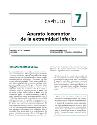 CAPÍTULO 
CAPÍTULO
!PARATO LOCOMOTOR
DE LA EXTREMIDAD INFERIOR
/2'!.):!#)¼. '%.%2!,
(5%3/3
-Â3#5,/3 9!3#)!3
!24)#5,!#)/.%3 9$).­-)#! 5.#)/.!,
ORGANIZACIÓN GENERAL
La extremidad inferior cumple las funciones de locomo-
ción y de sustentación del cuerpo en la posición bípeda.
Aunque la extremidad inferior comparte muchos rasgos
anatómicos con la extremidad superior, existen también
numerosos aspectos morfológicos y funcionales que difie-
ren en ambas extremidades. Como la extremidad supe-
rior, la extremidad inferior se encuentra anclada al tronco
por un complejo osteoarticular, que se denomina cintu-
rón pélvico. Además, la extremidad se estructura en tres
segmentos unidos por las articulaciones de la cadera, la
rodilla y el tobillo: el segmento proximal, el muslo, cuyo
eje óseo lo forma el fémur; el medio, la pierna, en el que
se disponen la tibia y el peroné; y finalmente el pie, for-
mado por múltiples huesos pequeños articulados entre sí.
También, al igual que en la extremidad superior, entre los
diferentes segmentos se intercalan las articulaciones res-
ponsables del movimiento de la extremidad. Sin embargo,
los huesos y los músculos de la extremidad inferior son
mayores y más robustos que los de la extremidad superior,
y las articulaciones poseen una morfología en la que pri-
man los rasgos determinantes de la estabilidad sobre la
movilidad. Este último aspecto es particularmente lla-
mativo a nivel del cinturón pélvico. En la pelvis, los
huesos forman uniones prácticamente inmóviles esta-
bleciendo una estructura que además de transmitir el peso
del tronco y dar inserción a los músculos proximales de la
extremidad, soporta las vísceras abdominales.
Desde el punto de vista evolutivo, la extremidad infe-
rior humana presenta numerosos rasgos morfológicos
característicos de especie, que se deben a la adquisición
de la posición erecta. Estos rasgos afectan a la mayoría
de los huesos de la extremidad inferior, por lo que el
examen de restos fósiles pertenecientes a especies de
primates extinguidas permite establecer deducciones
sobre sus hábitos posturales y tipo de marcha que prac-
ticaban.
Desde el punto de vista clínico, la diferente función
entre las dos extremidades determina que el médico
adopte una estrategia diferente de la empleada para la
extremidad superior cuando es necesario inmovilizar
un segmento de la extremidad inferior, por ejemplo,
para tratar una fractura ósea. Ante el riesgo de que la
inmovilización pueda complicarse con un anquilosa-
miento articular que origine una inmovilidad perma-
nente, en la extremidad inferior las inmovilizaciones
tienden a hacerse de forma que se conserve la función
de soporte.
 