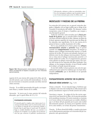 IGURA   Músculo grácil, visión anterior. El triángulo ro-
sáceo corresponde al espacio ocupado por los músculos
aproximadores.
superior de la cara interna del cuerpo de la tibia, por de-
trás del sartorio y por encima del semitendinoso. A nivel
de esta inserción se encuentra asociada una bolsa sinovial
(bolsa anserina).
Función. Es un débil aproximador del muslo y un impor-
tante flexor y rotador interno de la rodilla.
Inervación. Se inerva por la rama anterior del músculo
obturador, que le aporta fibras de L2 y L3.
Graciloplastia estimulada
El músculo grácil se emplea como injerto para la re-
construcción del esfínter anal. La intervención consis-
te en liberar el músculo de sus inserciones distales y
llevarlo bajo la piel hasta el canal anal. El músculo
luego se enrolla alrededor del ano y su extremo se
reinserta en el isquión o en el pubis. En la interven-
ción hay que conservar el pedículo vasculonervioso
del músculo y además se coloca un estimulador, simi-
lar a los marcapasos cardíacos, que le permite mante-
ner el tono necesario para cerrar el orificio anal.
MÚSCULOS Y FASCIAS DE LA PIERNA
Los músculos de la pierna son, en general, músculos alar-
gados y delgados con un largo tendón que se dirige al pie
cruzando la articulación del tobillo. No obstante, existen
excepciones, como el tríceps y el poplíteo, que escapan a
esta descripción general.
Todos los músculos están envueltos por la fascia pro-
funda de la pierna, que se extiende desde el borde ante-
rior hasta al borde medial de la tibia. Además, las fibras de
la fascia aportan superficie de inserción para las fibras de
los músculos más superficiales. En la cara interna de la
pierna la fascia se suelda al periostio de la tibia.
De la cara profunda de la fascia parten los tabiques
intermusculares anterior y posterior hacia el peroné
creando tres compartimentos musculares. El anterior se
dispone entre el tabique intermuscular anterior y el borde
anterior de la tibia. El externo está adosado al peroné y se
delimita entre los dos tabiques intermusculares. El poste-
rior se sitúa entre el tabique intermuscular posterior y el
borde medial de la tibia. En el compartimento posterior
existe además un tabique transversal que separa a los vien-
tres del tríceps de los músculos del plano profundo. Este
tabique, en sus márgenes laterales, se une al borde medial
de la tibial y al borde lateral del peroné.
A nivel del tobillo, la fascia presenta una serie de espe-
cializaciones para sujetar los tendones que van al pie deno-
minados retináculos, que se describirán en un apartado
independiente.
Compartimento anterior de la pierna
Músculo tibial anterior (Fig. 7-37)
Forma y situación. Es un músculo largo y fusiforme que
se dispone en la zona más medial de la celda anterior de la
pierna, lateralmente respecto al borde anterior de la tibia.
Inserciones y trayecto. Se origina de los dos tercios supe-
riores de la cara lateral de la tibia y de la porción próxima
de la membrana interósea. El vientre muscular se continúa
en el tercio inferior de la pierna por un tendón cilíndrico
que va al dorso del pie pasando por la parte más medial
del retináculo extensor. Se inserta en la superficie interna
de la cuña medial y en la base del primer metatarsiano.
Función. Es flexor dorsal del tobillo y cuando actúa junto
con el tibial posterior participa en la inversión del pie (su-
pinación más aproximación).
 3ECCIØN ))) Aparato locomotor
 