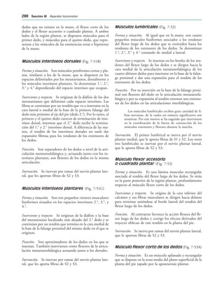 dedos que no existen en la mano, el flexor corto de los
dedos y el flexor accesorio o cuadrado plantar. A ambos
lados de la región plantar, se disponen músculos para el
primer dedo, y músculos para el quinto dedo, que repre-
sentan a los músculos de las eminencias tenar e hipotenar
de la mano.
Músculos interóseos dorsales (Fig. 7-51B)
Forma y situación. Son músculos peniformes cortos y pla-
nos, similares a los de la mano, que se disponen en los
espacios delimitados por los metatarsianos, dorsalmente a
los músculos interóseos plantares. Se denominan 1.o
, 2.o
,
3.o
y 4.o
dependiendo del espacio interóseo que ocupan.
Inserciones y trayecto. Se originan de la diáfisis de los dos
metatarsianos que delimitan cada espacio interóseo. Las
fibras se continúan por un tendón que va a insertarse en la
cara lateral o medial de la base de la primera falange del
dedo más próximo al eje del pie (dedo 2.o
). Por lo tanto, el
primero y el quinto dedo carecen de terminación de inte-
róseo dorsal, mientras que el 2.o
dedo recibe la termina-
ción del 1.o
y 2.o
interóseo dorsal. A diferencia de las ma-
nos, el tendón de los interóseos dorsales no suele dar
expansión fibrosa para los tendones de los extensores de
los dedos.
Función. Son separadores de los dedos a nivel de la arti-
culación metatarsofalángica y, actuando junto con los in-
teróseos plantares, son flexores de los dedos en la misma
articulación.
Inervación. Se inervan por ramas del nervio plantar late-
ral, que les aportan fibras de S2 y S3.
Músculos interóseos plantares (Fig. 7-51C)
Forma y situación. Son tres pequeños vientres musculares
fusiformes situados en los espacios interóseos 2.o
, 3.o
, y
4.o
.
Inserciones y trayecto. Se originan de la diáfisis y la base
del metatarsiano localizado más alejado del 2.o
dedo y se
continúan por un tendón que termina en la cara medial de
la base de la falange proximal del mismo dedo en el que se
originan.
Función. Son aproximadores de los dedos en los que se
insertan. También intervienen como flexores de la articu-
lación metartarsofalángica actuando junto a los dorsales.
Inervación. Se inervan por ramas del nervio plantar late-
ral, que les aporta fibras de S2 y S3.
Músculos lumbricales (Fig. 7-52)
Forma y situación. Al igual que en la mano, son cuatro
pequeños músculos fusiformes asociados a los tendones
del flexor largo de los dedos que se extienden hasta los
tendones de los extensores de los dedos. Se denominan
1.o
, 2.o
, 3.o
y 4.o
contando de medial a lateral.
Inserciones y trayecto. Se insertan en los bordes de los ten-
dones del flexor largo de los dedos y se dirigen hacia la
cara medial de la articulación metatarsofalángica de los
cuatro últimos dedos para insertarse en la base de la falan-
ge proximal y dar una expansión para el tendón de los
extensores de los dedos.
Función. Por su inserción en la base de la falange proxi-
mal son flexores del dedo en la articulación metatarsofa-
lángica y por su expansión al tendón extensor son extenso-
res de los dedos en las articulaciones interfalángicas.
Los músculos lumbricales reciben gran cantidad de fi-
bras nerviosas, de la cuales un número significativo son
sensitivas. Por este motivo se ha sugerido que intervienen
en la coordinación de la fuerza de contracción de los
músculos extensores y flexores durante la marcha.
Inervación. El primer lumbrical se inerva por el nervio
plantar medial, que le aporta fibras de S1 y S2. Los otros
tres lumbricales se inervan por el nervio plantar lateral,
que le aporta fibras de S2 y S3.
Músculo flexor accesorio
o cuadrado plantar (Fig. 7-52)
Forma y situación. Es una lámina muscular rectangular
asociada al tendón del flexor largo de los dedos. Se sitúa
en la parte posterior de la región plantar, profundamente
respecto al músculo flexor corto de los dedos.
Inserciones y trayecto. Se origina de la cara inferior del
calcáneo y sus fibras musculares se dirigen hacia delante
para terminar uniéndose al borde lateral del tendón del
flexor largo de los dedos.
Función. Al contraerse favorece la acción flexora del fle-
xor largo de los dedos y corrige los efectos derivados del
trayecto oblicuo de este tendón en la planta del pie.
Inervación. Se inerva por ramas del nervio plantar lateral,
que le aportan fibras de S2 y S3.
Músculo flexor corto de los dedos (Fig. 7-53A)
Forma y situación. Es un músculo aplanado y rectangular
que se dispone en la zona media del plano superficial de la
planta del pie tapado por la aponeurosis plantar.
 3ECCIØN ))) Aparato locomotor
 