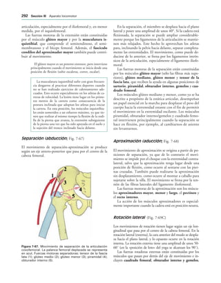 IGURA   Movimiento de separación de la articulación
coxofemoral. La palanca femoral deplazada se representa
en azul. Fuerzas motoras separadoras: tensor de la fascia
lata (1); glúteo medio (2); glúteo menor (3); piramidal (4);
obturador interno (5).
articulación, especialmente por el iliofemoral y, en menor
medida, por el isquiofemoral.
Las fuerzas motoras de la extensión están constituidas
por el músculo glúteo mayor y por la musculatura is-
quiotibial, que comprende el semitendinoso, el semi-
membranoso y el bíceps femoral. Además, el fascículo
condíleo del aproximador mayor también puede contri-
buir al movimiento.
El glúteo mayor es un potente extensor, pero interviene
principalmente cuando el movimiento se inicia desde una
posición de flexión (subir escaleras, correr, escalar).
La musculatura isquiotibial sufre con gran frecuen-
cia desgarros al practicar diferentes deportes cuando
no se han realizado ejercicios de calentamiento ade-
cuados. Esto ocurre especialmente en los atletas de ca-
rreras de velocidad. La lesión tiene lugar en los prime-
ros metros de la carrera como consecuencia de la
postura inclinada que adoptan los atletas para iniciar
la carrera. En esta posición, los músculos isquiotibia-
les están sometidos a un esfuerzo máximo, ya que tie-
nen que realizar al mismo tiempo la flexión de la rodi-
lla de la pierna que avanza, la extensión subsiguiente
de la pierna una vez que ha sido apoyada en el suelo y
la sujeción del tronco inclinado hacia delante.
Separación (abducción; Fig. 7-67)
El movimiento de separación-aproximación se produce
según un eje antero-posterior que pasa por el centro de la
cabeza femoral.
En la separación, el miembro se desplaza hacia el plano
lateral y posee una amplitud de unos 40°. Si la cadera está
flexionada, la separación se puede ampliar considerable-
mente porque los ligamentos de la articulación se mantie-
nen más relajados. Este hecho lo aprovechan los atletas
para, inclinando la pelvis hacia delante, separar completa-
mente las extremidades. El movimiento, como puede de-
ducirse de lo anterior, se frena por los ligamentos intrín-
sicos de la articulación, especialmente el ligamento iliofe-
moral.
Las fuerzas motoras de la separación están constituidas
por los músculos glúteo mayor (sólo las fibras más supe-
riores), glúteo mediano, glúteo menor y tensor de la
fascia lata, que reciben la ayuda en algunas posiciones de
sartorio, piramidal, obturador interno, gemelos y cua-
drado femoral.
Los músculos glúteo mediano y menor, como ya se ha
descrito a propósito de la estática articular, desempeñan
un papel esencial en la marcha para desplazar el peso del
cuerpo hacia la extremidad estante con el fin de permitir
el movimiento en la extremidad oscilante. Los músculos
piramidal, obturador interno/gemelos y cuadrado femo-
ral intervienen principalmente cuando la separación se
hace en flexión, por ejemplo, al cambiarnos de asiento
sin levantarnos.
Aproximación (aducción; Fig. 7-68)
El movimiento de aproximación se origina a partir de po-
siciones de separación, ya que de lo contrario el movi-
miento se impide por el choque con la extremidad contra-
lateral, salvo que la aproximación tenga lugar desde una
posición de flexión, como ocurre al sentarse con las pier-
nas cruzadas. También puede realizarse la aproximación
sin desplazamiento, como ocurre al montar a caballo para
sujetarse sobre la silla. El movimiento se frena por la ten-
sión de las fibras laterales del ligamento iliofemoral.
Las fuerzas motoras de la aproximación son los múscu-
los aproximadores mayor, menor y largo, el pectíneo y
el recto interno.
La acción de los músculos aproximadores es especial-
mente importante cuando la cadera está en posición neutra.
Rotación lateral (Fig. 7-69C)
Los movimientos de rotación tienen lugar según un eje lon-
gitudinal que pasa por el centro de la cabeza femoral. En la
rotación lateral (externa), la cara anterior del muslo se despla-
za hacia el plano lateral, y lo opuesto ocurre en la rotación
interna. La rotación externa tiene una amplitud de unos 50-
60° (en la «posición de loto» del yoga se alcanzan los 90°).
Las fuerzas rotadoras externas están constituidas por los
músculos que pasan por detrás del eje de movimiento e in-
cluyen cuadrado femoral, obturador interno y gemelos,
 3ECCIØN ))) Aparato locomotor
 