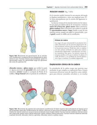 IGURA   Movimiento de aproximación de la articula-
ción coxofemoral. La palanca femoral desplazada se repre-
senta en azul. Fuerzas motoras aproximadoras: grácil (1);
aproximador mayor (2); aproximador largo (3); aproxima-
dor corto (4); pectíneo (5).
IGURA   Movimiento de rotación de la articulación coxofemoral. A) Visión superior de la articulación en reposo con el
pie proyectado sobre ella. B) Movimiento de rotación interna en el que el pie es arratrado hacia el plano medio. C) Movi-
miento de rotación externa en el que el pie es arrastrado hacia el plano lateral. Fuerzas motoras rotadoras internas: tensor
de la fascia lata, glúteo menor (fibras anteriores), glúteo mediano (fibras anteriores). Fuerzas motoras rotadoras externas:
cuadrado femoral, obturador interno y gemelos, obturador externo y glúteo mayor.
obturador externo, y glúteo mayor, que reciben la ayuda
en algunas posiciones del piramidal (sólo con la cadera en
extensión), sartorio (cu