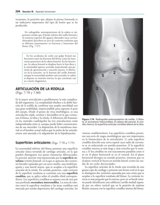 154017468-Anatomia-Humana-Garcia-Porrero-pdf.pdf