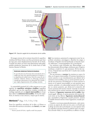 154017468-Anatomia-Humana-Garcia-Porrero-pdf.pdf