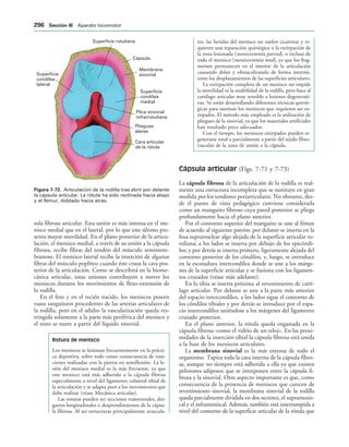 154017468-Anatomia-Humana-Garcia-Porrero-pdf.pdf