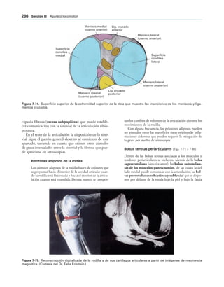 154017468-Anatomia-Humana-Garcia-Porrero-pdf.pdf