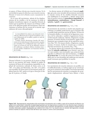 154017468-Anatomia-Humana-Garcia-Porrero-pdf.pdf