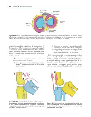154017468-Anatomia-Humana-Garcia-Porrero-pdf.pdf