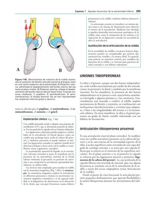 154017468-Anatomia-Humana-Garcia-Porrero-pdf.pdf