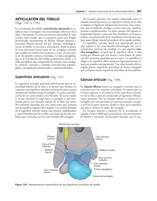 154017468-Anatomia-Humana-Garcia-Porrero-pdf.pdf