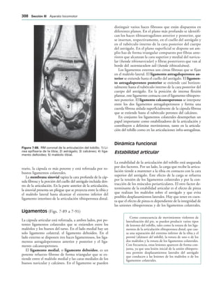 154017468-Anatomia-Humana-Garcia-Porrero-pdf.pdf