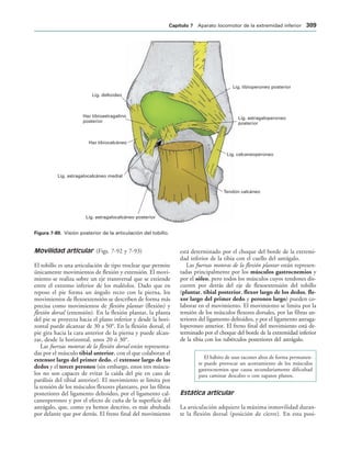 154017468-Anatomia-Humana-Garcia-Porrero-pdf.pdf