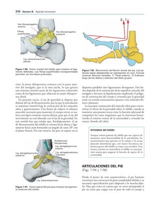 154017468-Anatomia-Humana-Garcia-Porrero-pdf.pdf