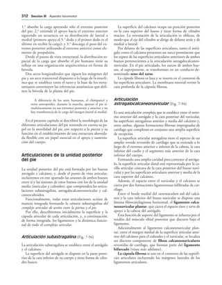 154017468-Anatomia-Humana-Garcia-Porrero-pdf.pdf