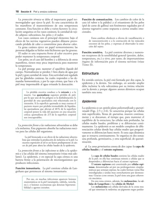La protección térmica se debe al importante papel ter-
morregulador que ejerce la piel. Es una característica de
los mamíferos el mantenimiento de una temperatura
constante. Esta función se debe a varios factores: la circu-
lación sanguínea en los vasos cutáneos, la cantidad de teji-
do adiposo subcutáneo, los pelos y el sudor.
Los vasos cutáneos son el principal elemento; bajo el
efecto de los nervios vegetativos pueden dilatarse provo-
cando pérdida de calor o constreñirse para ahorrar calor.
La grasa cutánea ejerce un papel termorresistente; las
personas delgadas se hielan más fácilmente que las gruesas.
El sudor es una respuesta frente al calor excesivo para
poder mantener la temperatura corporal.
Los pelos, en el caso del hombre y a diferencia de otros
mamíferos, tienen muy poca importancia para mantener
la temperatura.
La piel protege para mantener el equilibrio líquido del
cuerpo. Normalmente se pierden 1 litro diario de agua por
la piel y gran cantidad de iones. Esta actividad está regulada
por las glándulas cutáneas, las cuales responden a las de-
mandas homeostáticas, y por la capa córnea, que hace a la
piel muy impermeable al agua evitando la desecación.
La pérdida excesiva conduce a la exicosis y a la
muerte. Las quemaduras suponen pérdida de piel,
por lo que uno de los peligros es la deshidratación; la
gravedad de una quemadura está relacionada con la
extensión. Si la superficie quemada es muy extensa el
paciente muere por pérdida irremediable de líquidos;
las quemaduras que afectan al 40 % de la superficie
corporal ponen la vida del paciente en una situación
crítica; quemaduras de 2/3 de la superficie corporal
son irrecuperables.
La protección frente a las radiaciones ultravioletas se debe
a la melanina. Este pigmento absorbe las radiaciones noci-
vas para las células del organismo.
La piel bronceada es un efecto de las radiaciones ultravio-
letas que estimulan la producción de melanina en la piel. La
excesiva exposición al sol es un factor predisponente al cán-
cer de piel pues altera las células basales de la epidermis.
La protección frente a las infecciones se debe a la epider-
mis y a las células del sistema inmunitario (véase más ade-
lante). La epidermis, y en especial la capa córnea es una
barrera frente a la penetración de microorganismos que
producen infecciones.
Función inmunitaria. La piel contiene células de Lan-
gerhans que pertenecen al sistema inmunitario.
Por eso, en muchas infecciones aparecen lesiones
exantemáticas en la piel (sarampión, rubéola, varicela,
etc.), o lesiones eccematosas que denotan hipersensi-
bilidad a agentes extraños.
Función de comunicación. Los cambios de color de la
cara (el rubor o la palidez) y el erizamiento de los pelos
(piel de carne de gallina) son fenómenos regulados por el
sistema vegetativo como respuesta a ciertos estados emo-
cionales.
Estos cambios obedecen a efectos de vasodilatación o
de vasoconstricción o a la contracción de los músculos
erectores de los pelos, y expresan al observador la emo-
ción del sujeto.
Función sensitiva. La piel contiene diversos y numero-
sos receptores de la sensibilidad general (presión, dolor,
temperatura, etc.) y sirve, por tanto, de importantísimo
órgano de información para el sistema nervioso (véase
Tomo II).
Estructura
En sentido estricto, la piel está formada por dos capas, la
epidermis y la dermis. Sin embargo, en sentido amplio
debe incluirse la tela subcutánea por su íntima relación
con la dermis y porque algunos anexos dérmicos ocupan
también esta zona.
Epidermis
La epidermis es un epitelio plano poliestratificado y querati-
nizado (Figs. 2-5 y 2-6). Se caracteriza porque las células
más superficiales, llenas de queratina, mueren continua-
mente y se descaman, al tiempo que, para mantener el
equilibrio de la estructura, las células más profundas, las
células madre basales, proliferan y se diferencian conti-
nuamente. La epidermis es un modelo completo de dife-
renciación celular donde hay células madre que progresi-
vamente se diferencian hasta morir. Es una capa dinámica
que se renueva continuamente. Se organiza en dos zonas:
una profunda, germinativa, y otra superficial, de querati-
nización.
a) La zona germinativa consta de dos capas: la capa de
células basales y el estrato espinoso.
La capa de células basales contiene las células madre
de la piel; en ella hay continuas mitosis y células que se
desprenden y diferencian hacia el estrato espinoso.
El estrato espinoso está constituido por células espi-
nosas, denominadas así por sus prolongaciones citoplas-
máticas que semejan espinas, las cuales forman varias filas
interdigitadas y unidas muy estrechamente por desmoso-
mas. Gracias a este estrato, la piel tiene una gran coheren-
cia mecánica.
En esta zona existen, además, los melanocitos, las cé-
lulas de Langerhans y las células de Merkel.
Los melanocitos son células derivadas de la cresta neu-
ral que sintetizan la melanina, un pigmento negro pardus-
 3ECCIØN )) Piel y anejos cutáneos
 