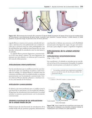 154017468-Anatomia-Humana-Garcia-Porrero-pdf.pdf