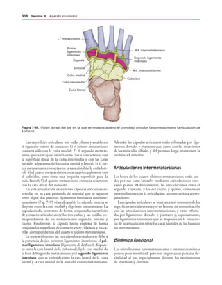 154017468-Anatomia-Humana-Garcia-Porrero-pdf.pdf