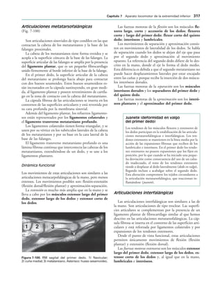 154017468-Anatomia-Humana-Garcia-Porrero-pdf.pdf