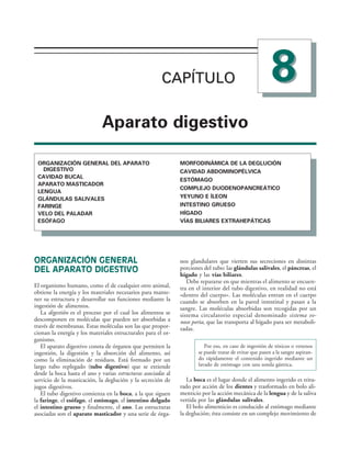 154017468-Anatomia-Humana-Garcia-Porrero-pdf.pdf