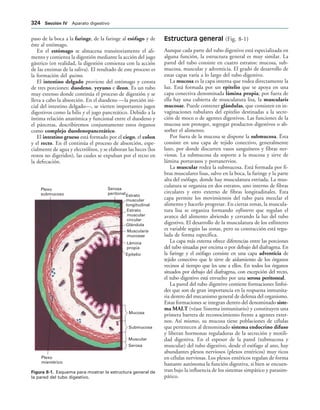 154017468-Anatomia-Humana-Garcia-Porrero-pdf.pdf