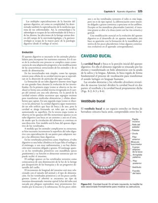 154017468-Anatomia-Humana-Garcia-Porrero-pdf.pdf