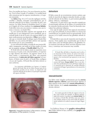 154017468-Anatomia-Humana-Garcia-Porrero-pdf.pdf