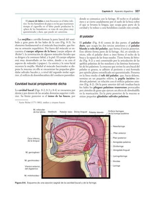154017468-Anatomia-Humana-Garcia-Porrero-pdf.pdf