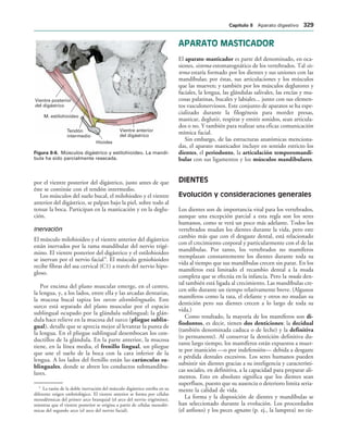 154017468-Anatomia-Humana-Garcia-Porrero-pdf.pdf