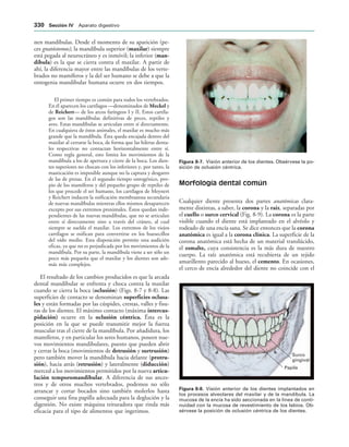 154017468-Anatomia-Humana-Garcia-Porrero-pdf.pdf