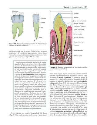154017468-Anatomia-Humana-Garcia-Porrero-pdf.pdf