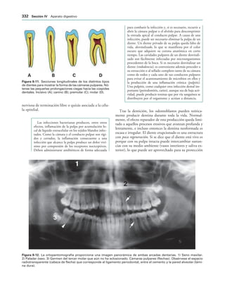 154017468-Anatomia-Humana-Garcia-Porrero-pdf.pdf