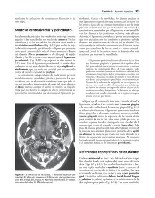 154017468-Anatomia-Humana-Garcia-Porrero-pdf.pdf