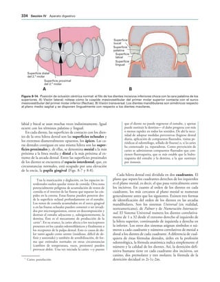 154017468-Anatomia-Humana-Garcia-Porrero-pdf.pdf