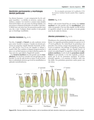 154017468-Anatomia-Humana-Garcia-Porrero-pdf.pdf