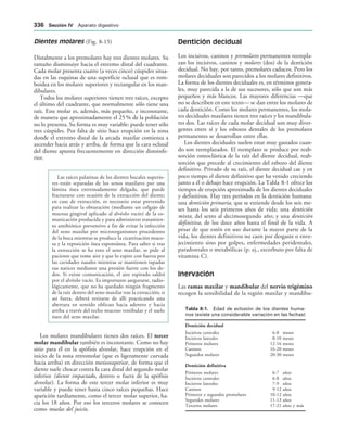 154017468-Anatomia-Humana-Garcia-Porrero-pdf.pdf
