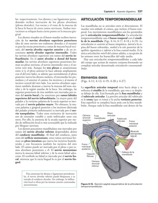 154017468-Anatomia-Humana-Garcia-Porrero-pdf.pdf