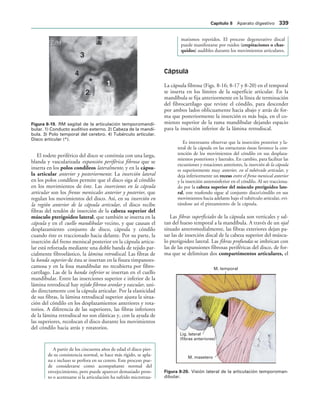 154017468-Anatomia-Humana-Garcia-Porrero-pdf.pdf
