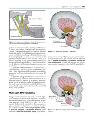 154017468-Anatomia-Humana-Garcia-Porrero-pdf.pdf