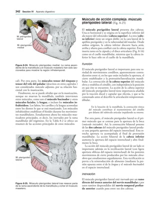 154017468-Anatomia-Humana-Garcia-Porrero-pdf.pdf