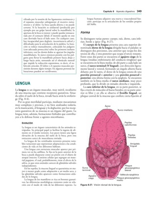 154017468-Anatomia-Humana-Garcia-Porrero-pdf.pdf
