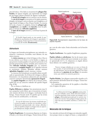 154017468-Anatomia-Humana-Garcia-Porrero-pdf.pdf