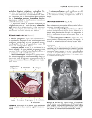 154017468-Anatomia-Humana-Garcia-Porrero-pdf.pdf