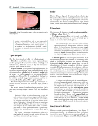 IGURA   Uña. El recuadro negro indica la posición de la
raíz ungueal.
nuclear o mitocondrial del pelo es hoy una prueba
diagnóstica de gran valor en la identificación de perso-
nas. Determinados tóxicos como arsénico, plomo, ta-
lio, opiáceos, etc., se eliminan por el cabello y puede
investigarse su presencia en sospechas de envenena-
miento.
Tipos de pelo
Hay dos tipos de pelo: el vello y el pelo terminal.
El vello es un pelo fino, corto y poco pigmentado que
recubre gran parte de la superficie cutánea. El lanugo es el
vello del feto y del recién nacido; es algo más fino y desa-
parece al poco tiempo de nacer.
El pelo terminal es más grueso, largo y pigmentado. Se
encuentra en determinadas zonas corporales donde recibe
diversos nombres: cabello (pelo de la cabeza), barba (pelo
de la cara y el cuello), cejas (en el arco supraorbitario),
pestañas (en el borde libre de los párpados), vibrisas (en
los orificios nasales), tragos (en el conducto auditivo ex-
terno), pelo axilar, pelo púbico y pelo genital.
El cabello adquiere distintas formas que constituyen ca-
racteres raciales; puede ser liso, ondulado, crespo, rizado y
lanoso.
En la raza blanca el cabello es liso u ondulado. En la
raza negra es crespo, rizado o lanoso. En la raza amarilla es
liso.
Excepto el cabello, las cejas y las pestañas, el resto del
pelo comienza a diferenciarse en la pubertad bajo el influ-
jo de las hormonas y tiene una distribución diferencial en
los sexos que forma parte de los caracteres sexuales secun-
darios. En la mujer, a diferencia del varón, no hay pelo en
el pecho. El vello del pubis de la mujer tiene una distribu-
ción triangular de base superior. En el varón, la distribu-
ción tiende a la forma romboidal llegando a la región um-
bilical, si bien la mitad superior es menos densa que la
inferior.
Las vibrisas y los tragos se desarrollan a partir de la
edad madura de la vida, y son más propios del varón. La
raza blanca tiene más pelo que la negra.
Color
El color del pelo depende de la cantidad de melanina que
liberan los melanocitos del bulbo piloso (véase más adelan-
te). En las personas pelirrojas hay un pigmento amarillento
(feomelanina). Por el color, el pelo puede ser negro, moreno
oscuro, castaño claro, rubio (con varias tonalidades) y bermejo.
Estructura
El pelo consta de dos partes, el pelo propiamente dicho y
el folículo piloso (Fig. 2-7).
El pelo propiamente dicho está formado por el tallo o
porción libre, que sobresale en la piel, y la raíz, que se
oculta en el interior del folículo piloso.
Está constituido por células muertas, restos queratini-
zados resultado de la diferenciación celular del folículo
piloso. En el pelo fuerte se distinguen tres capas: la cutí-
cula externa, formada por restos escamosos, la corteza,
constituida por queratina muy pigmentada, y una zona
central, la médula, formada también por queratina y res-
tos de grasa, de pigmento y algunos espacios aéreos.
El folículo piloso es una invaginación tubular de la
epidermis que penetra oblicuamente en la dermis y se ex-
pande en profundidad formando una pequeña dilatación
denominada bulbo piloso, que puede llegar a ocupar la
tela subcutánea. Si el pelo es rizado, el folículo se presenta
retorcido. El bulbo es una zona de crecimiento y diferen-
ciación del pelo. Por su extremo profundo está invagina-
do, a modo de campana, para recibir a la papila dérmica,
una estructura de tejido conjuntivo laxo por donde pene-
tran los vasos que nutren la zona de crecimiento del pelo.
Contiene también melanocitos.
El folículo es un tubo revestido de capas epidérmicas y
dérmicas. La capa dérmica, la más externa, es tejido con-
juntivo. Las capas epidérmicas se organizan alrededor de la
raíz del pelo en dos vainas que son continuación de las
capas de la epidermis. Hay una vaina radicular externa
constituida por las capas basal y espinosa de la epidermis,
y una vaina radicular interna que corresponde a la zona
de cornificación progresiva. La vaina radicular interna está
formada, de fuera a dentro, por la capa de Henle, que
contiene células cúbicas, la capa de Huxley, que se estruc-
tura en dos capas de células poliédricas, y la capa de cutí-
cula, formada por células planas que se interdigitan con la
capa cuticular del pelo haciendo de elemento de sujeción.
Crecimiento del pelo
El pelo terminal crece aproximadamente 1 cm al mes. El
crecimiento es cíclico y se realiza en tres fases: crecimiento,
transición y reposo. Finalmente, cae y es reemplazado por
otro. La vida media del pelo es variable. El cabello puede
 3ECCIØN )) Piel y anejos cutáneos
 