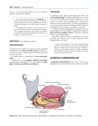 154017468-Anatomia-Humana-Garcia-Porrero-pdf.pdf