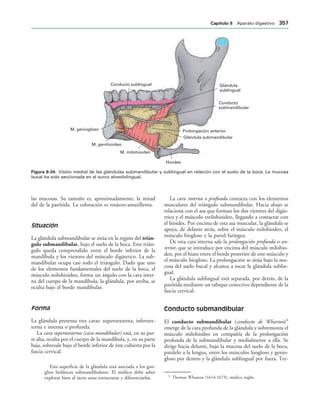 154017468-Anatomia-Humana-Garcia-Porrero-pdf.pdf
