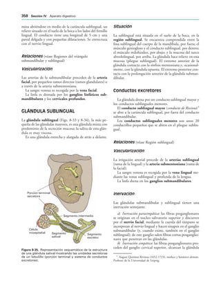 154017468-Anatomia-Humana-Garcia-Porrero-pdf.pdf