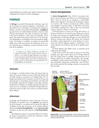 154017468-Anatomia-Humana-Garcia-Porrero-pdf.pdf