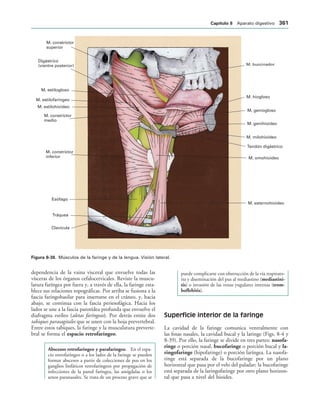 154017468-Anatomia-Humana-Garcia-Porrero-pdf.pdf